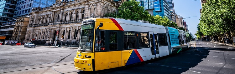 tram in Adelaide