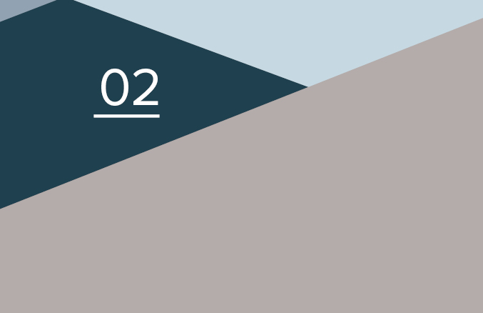 stage 2