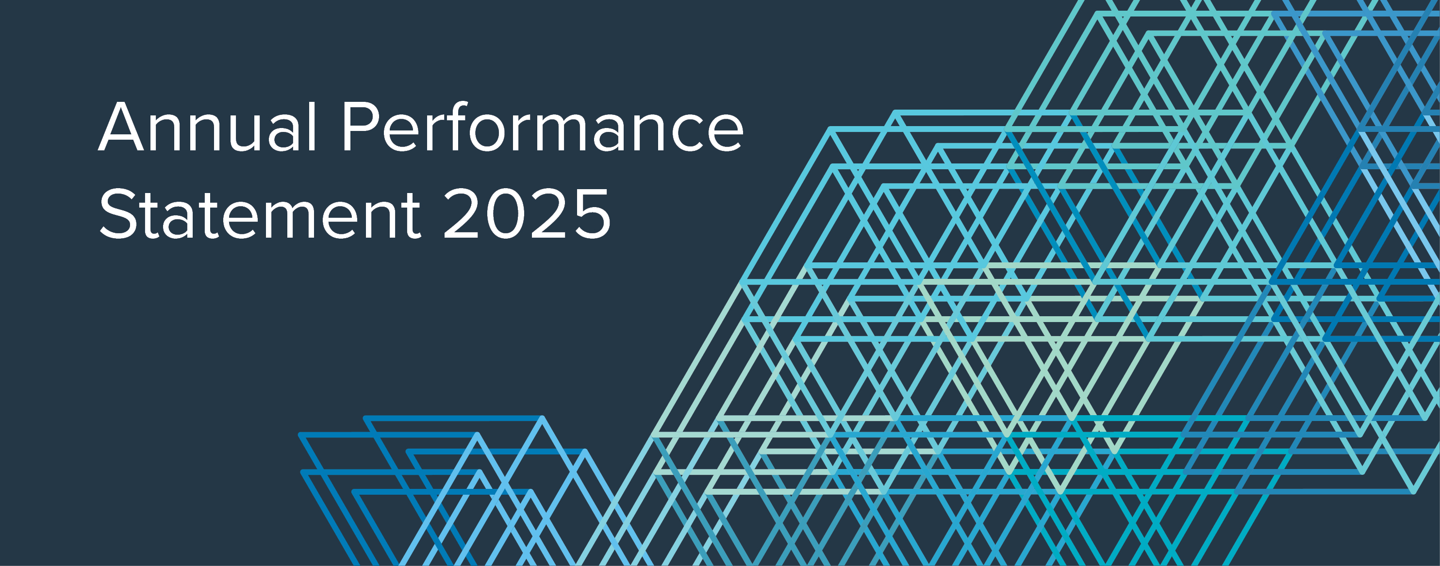 Annual Performance Statement 2025