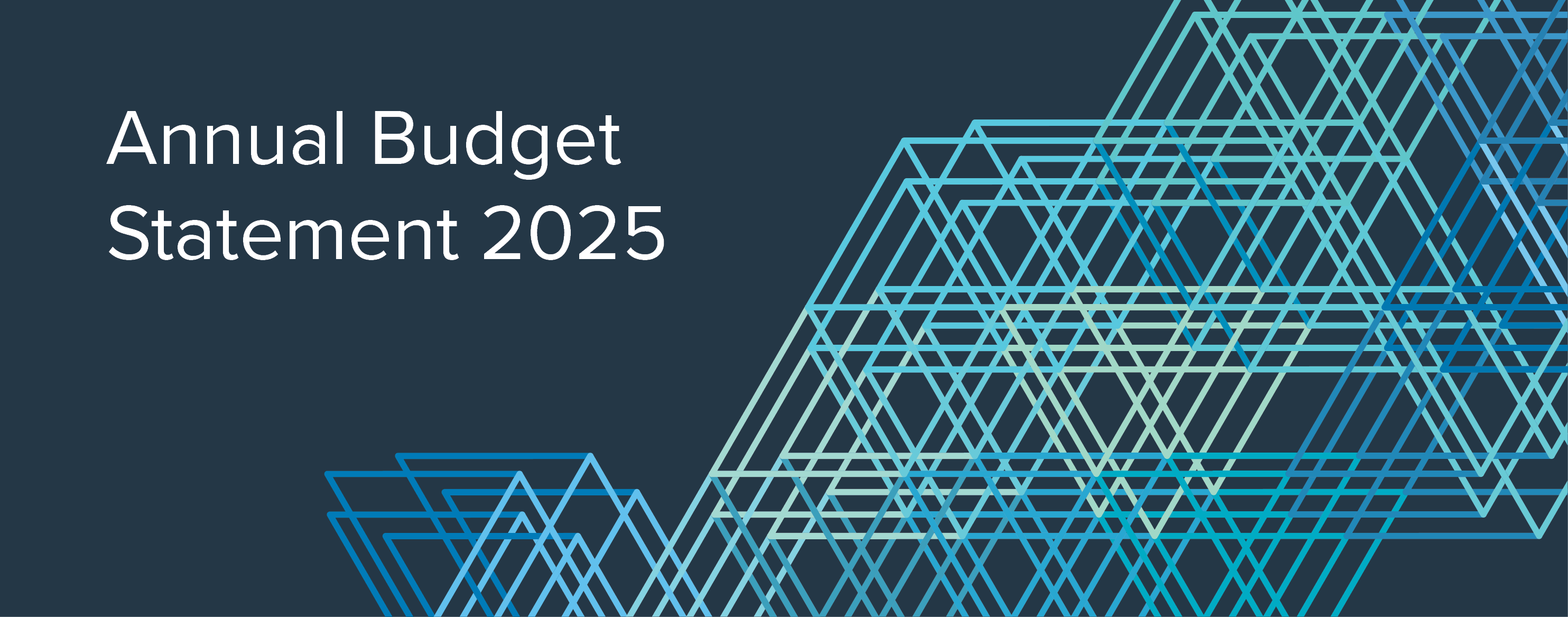 Annual Budget Statement 2025