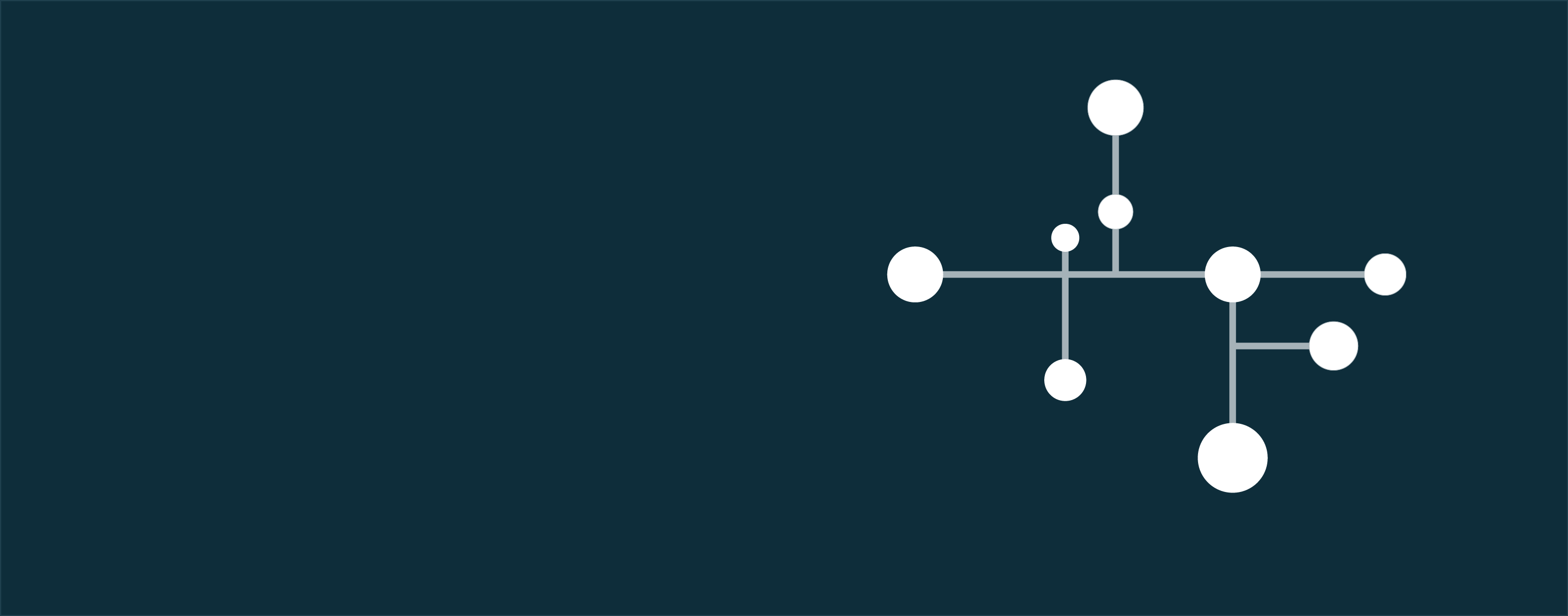 Annual-Budget-Statement-website-banner 