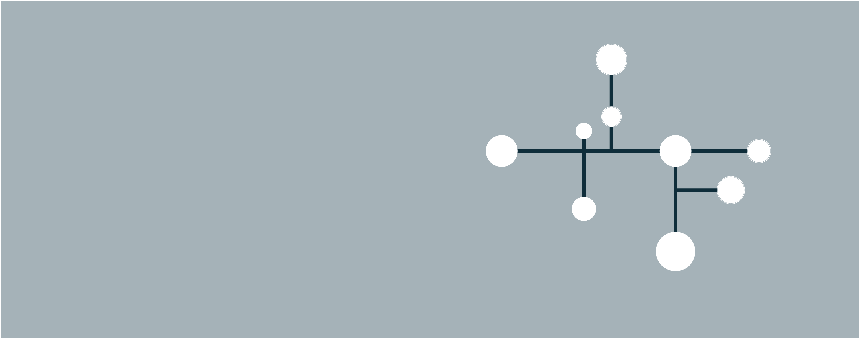 Annual-Budget-Statement-website-banner 