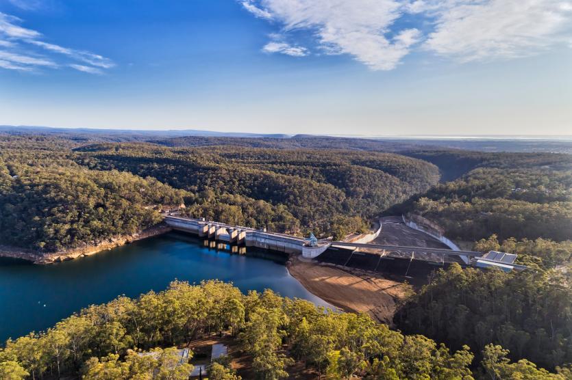 Dam surrounded by trees